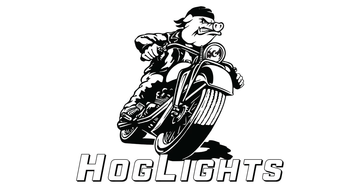 Premium LED Motorcycle Lighting & Harley Audio Solutions | HogLights