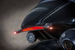 Ricks Motorcycles Indicators - 3-1 (Run, Brake & Indicators) Sportster S Rear Indicator Bracket Without Lights